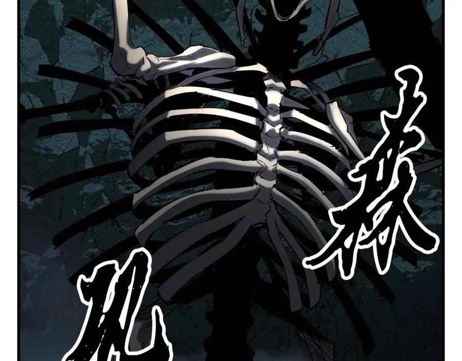 第215页