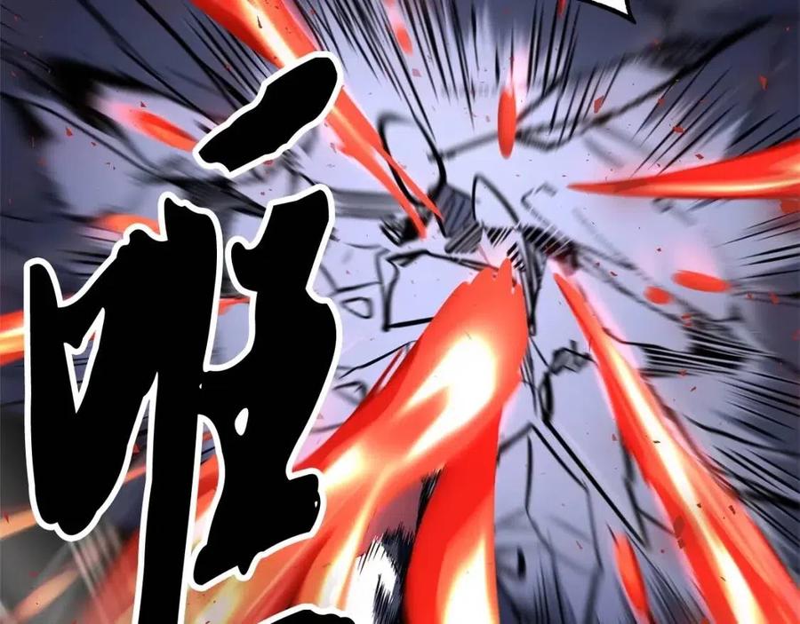 第231页