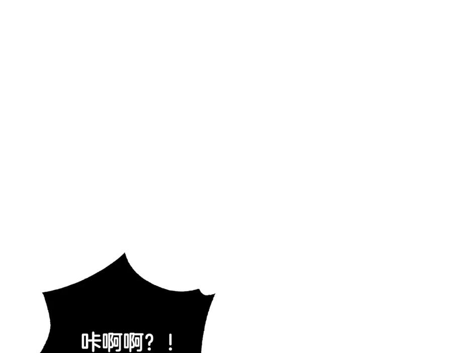 第242页