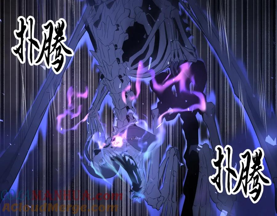 第185页