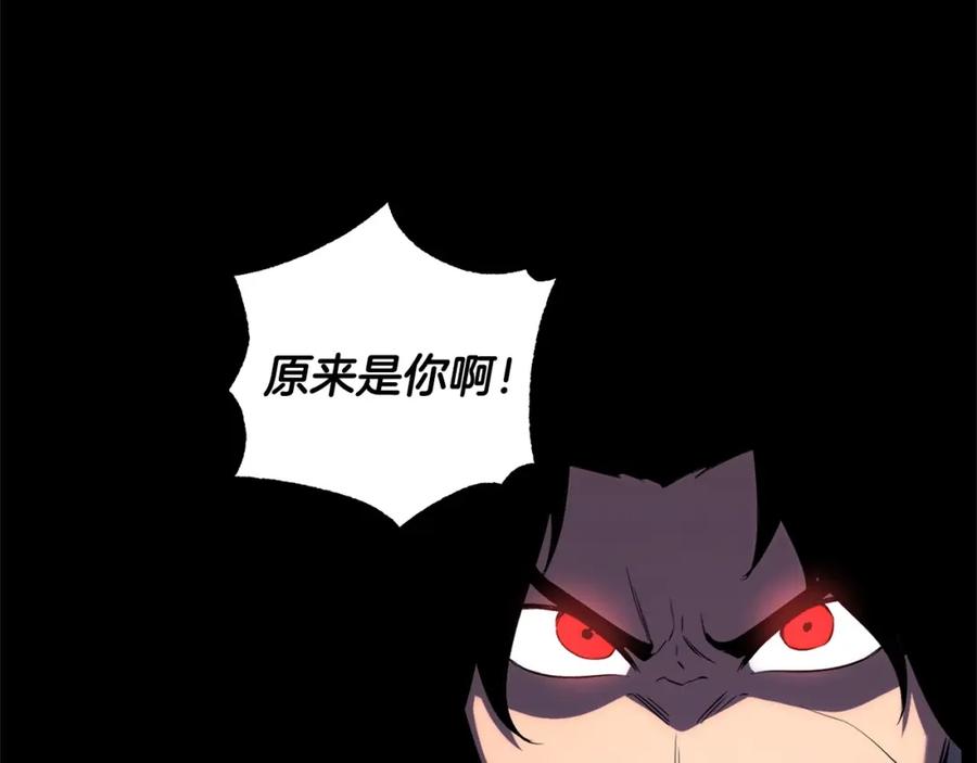 第223页