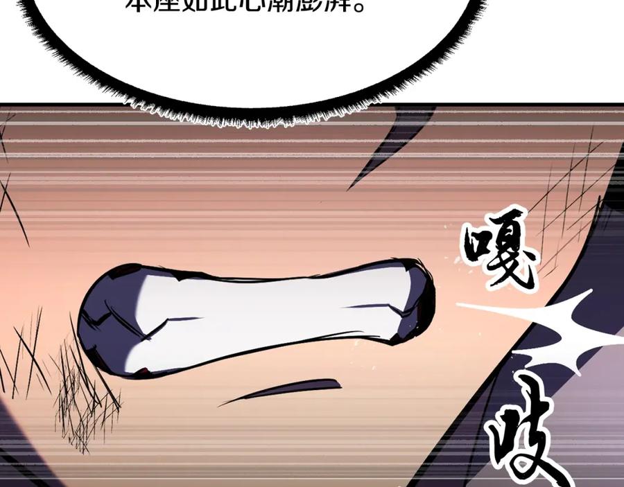 第223页