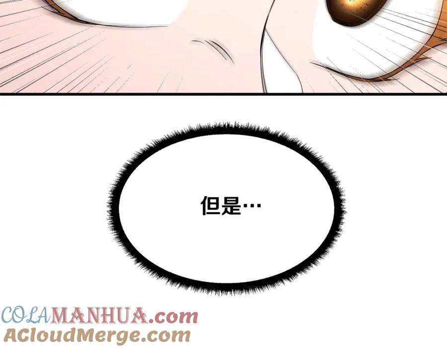 第205页