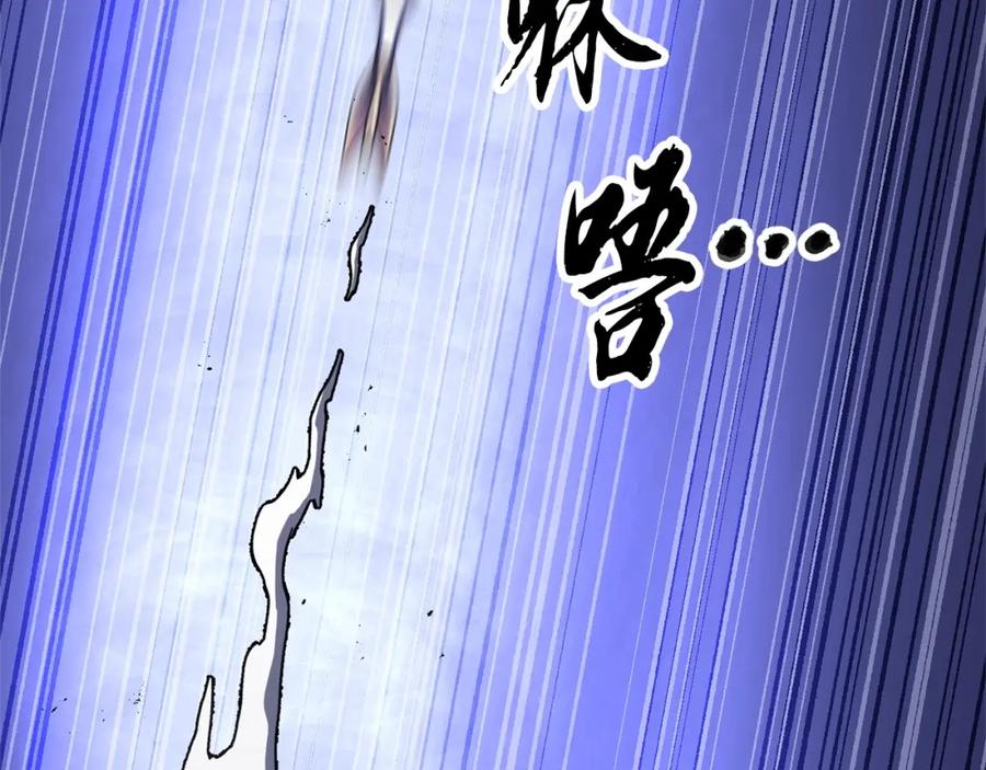 第240页