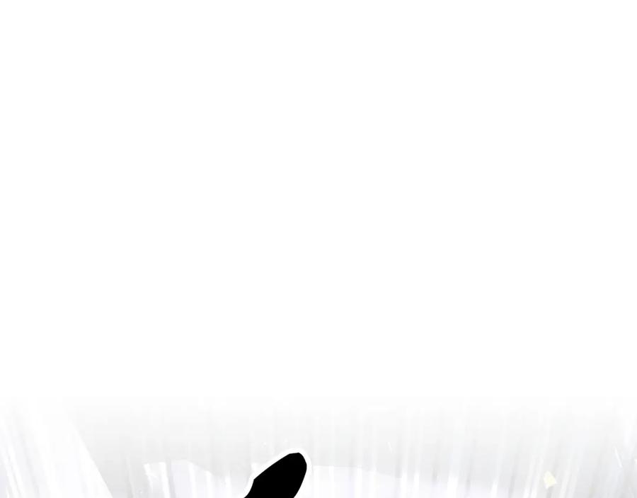 第242页
