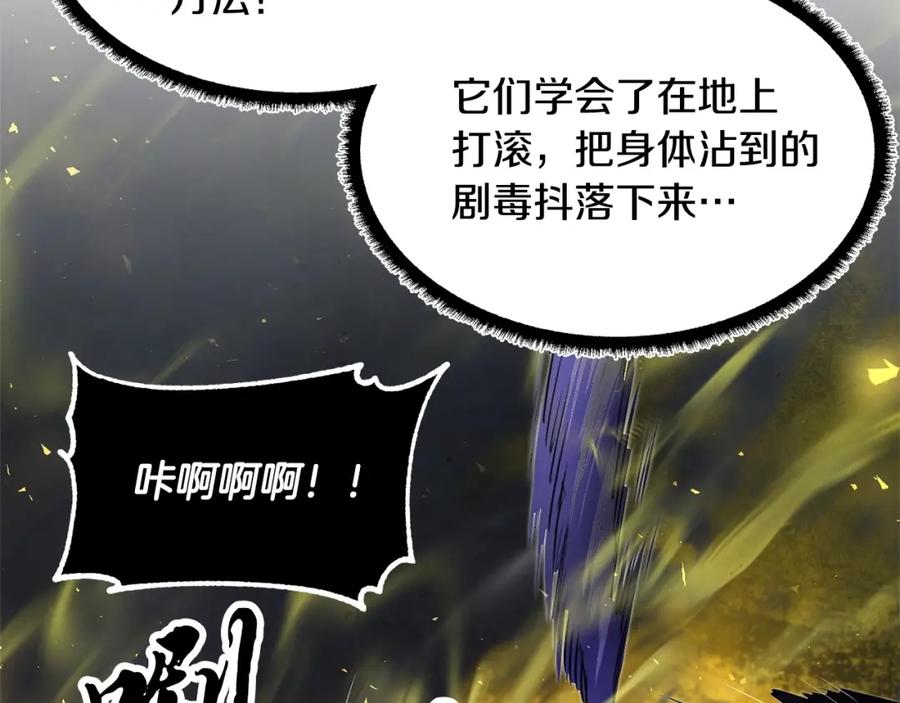 第206页
