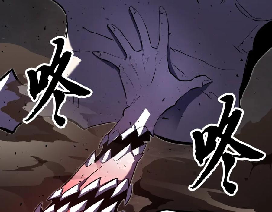 第231页