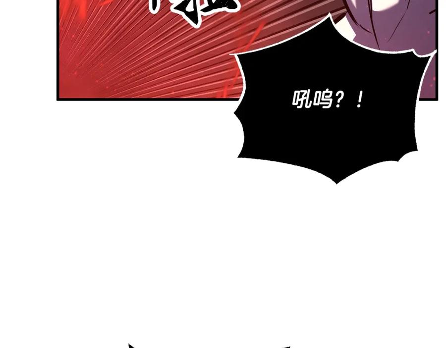 第242页