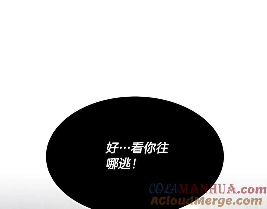 第241页