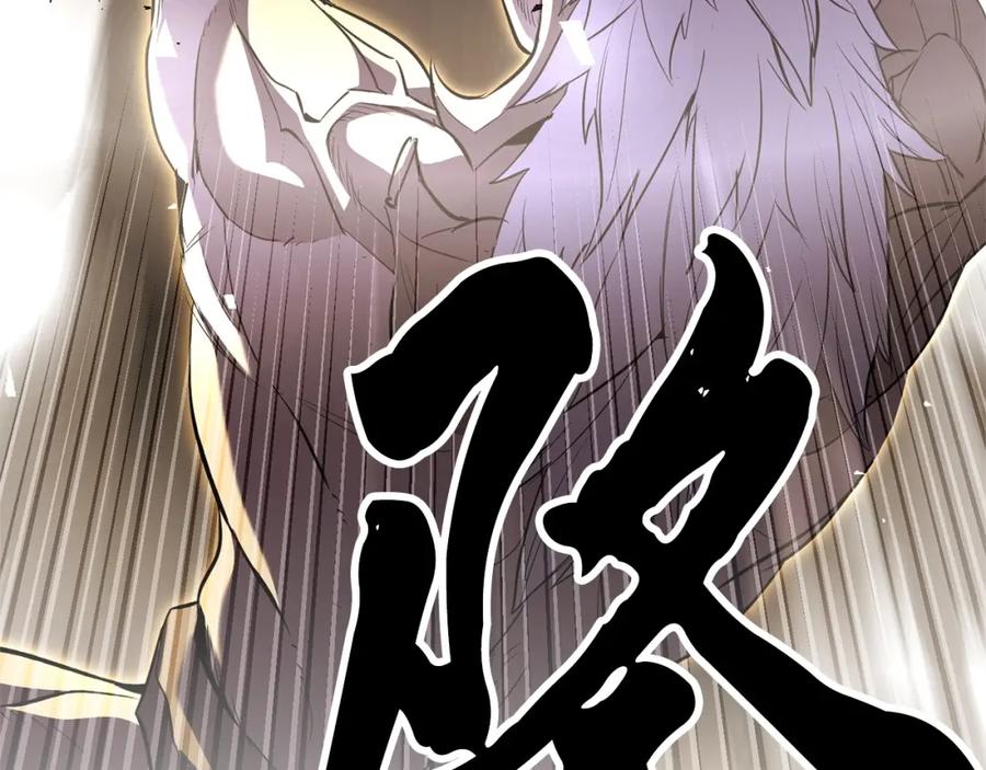 第246页