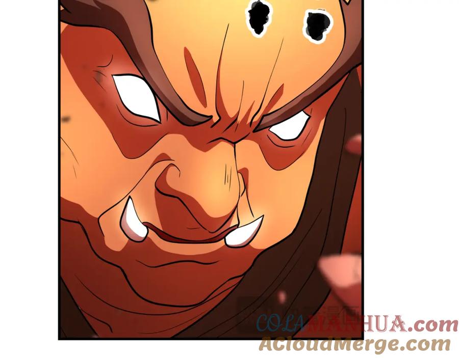 第213页
