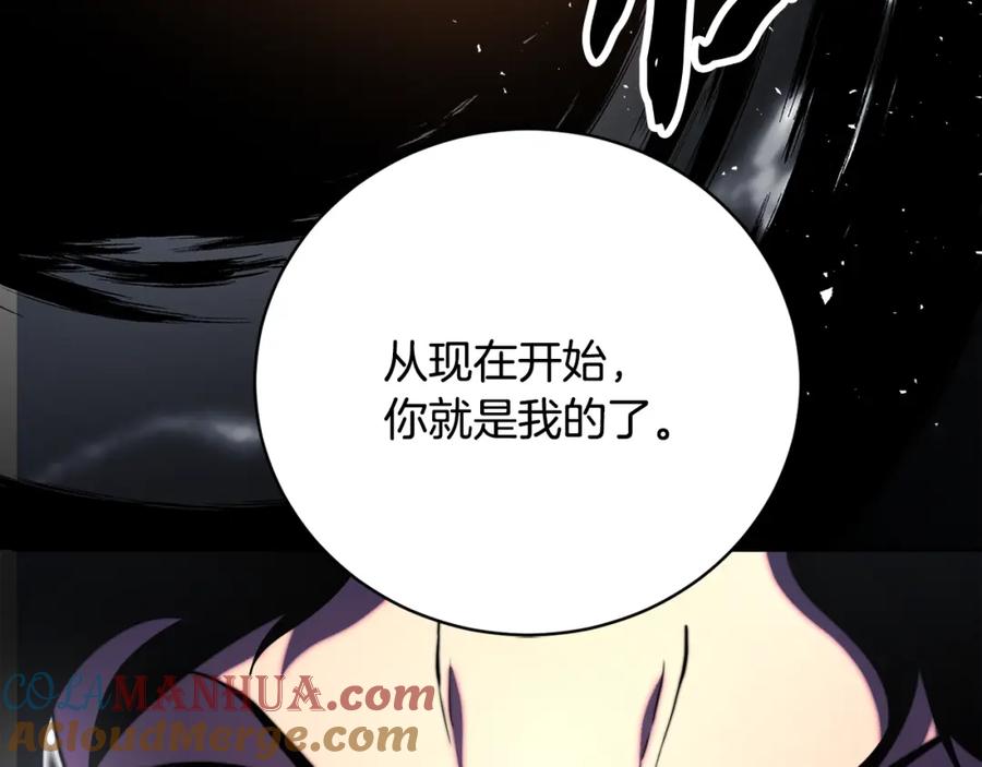 第265页