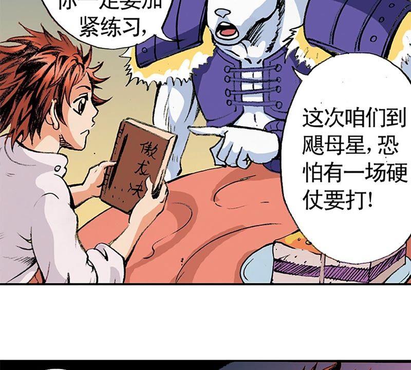 第47页
