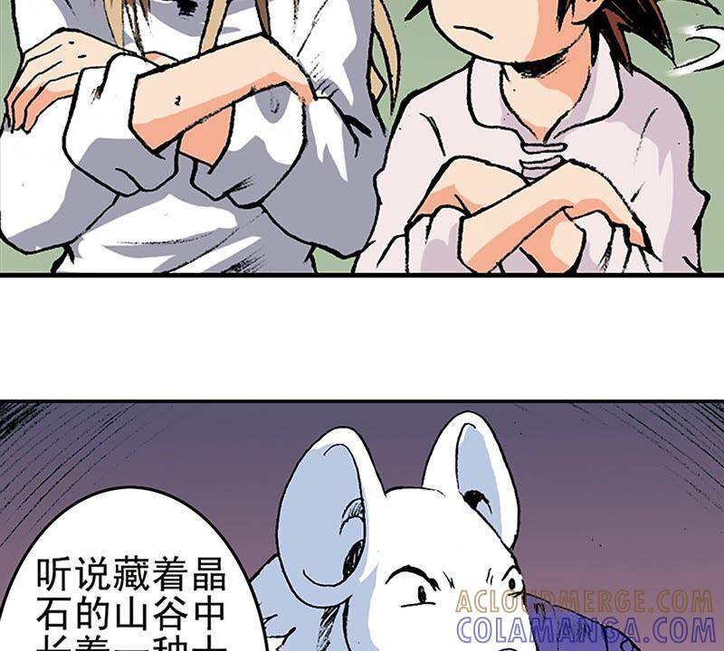第65页