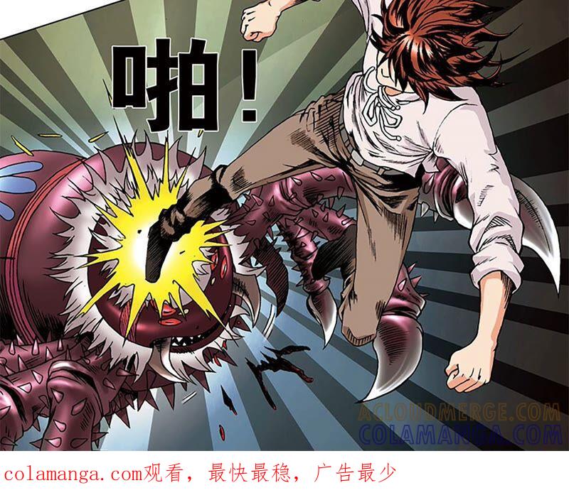 第113页