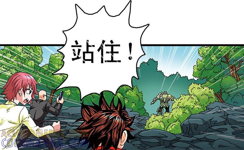 第61页