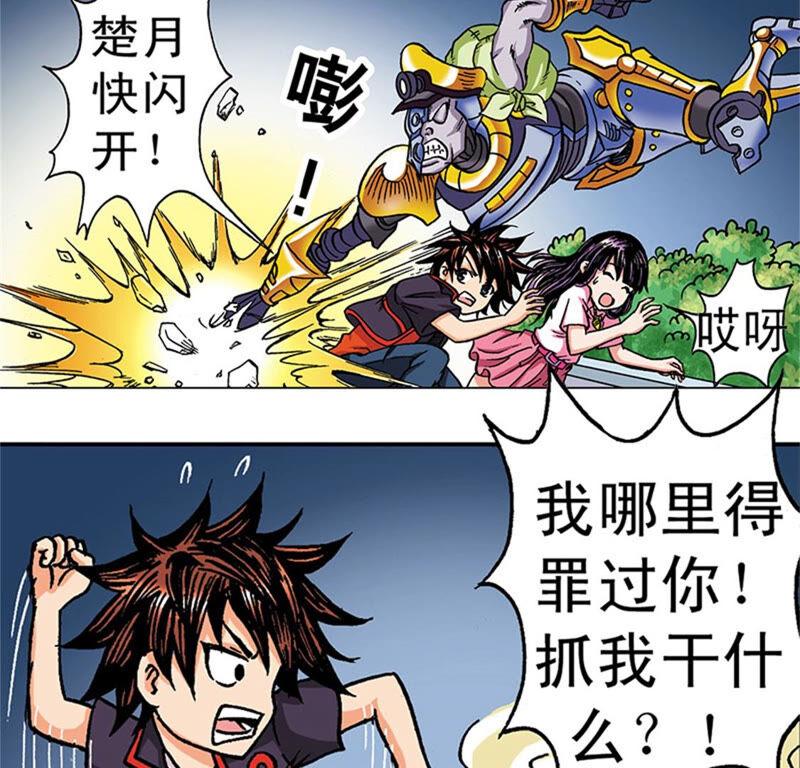 第48页