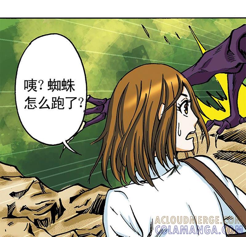 第113页