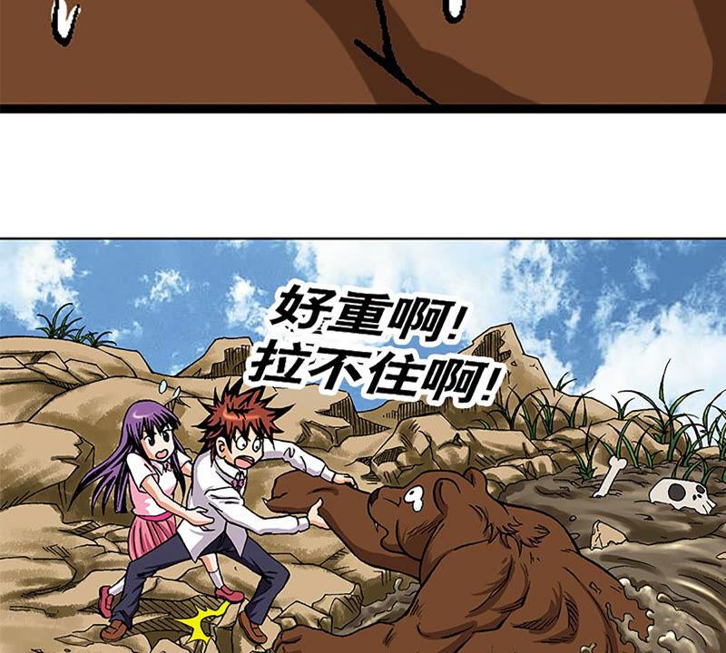 第55页