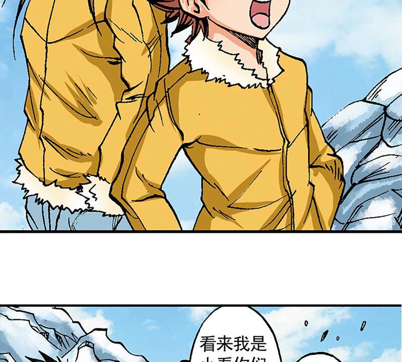 第66页