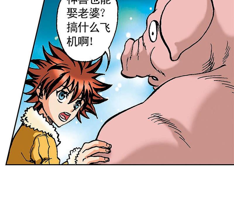 第66页