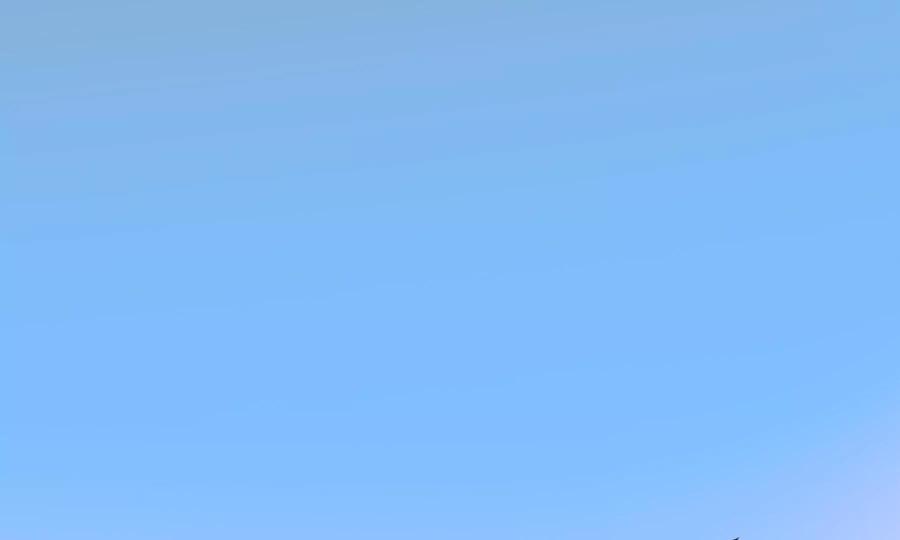 第208页