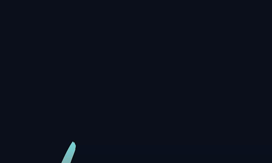 第219页