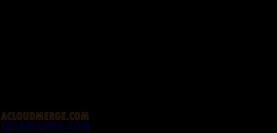 第281页