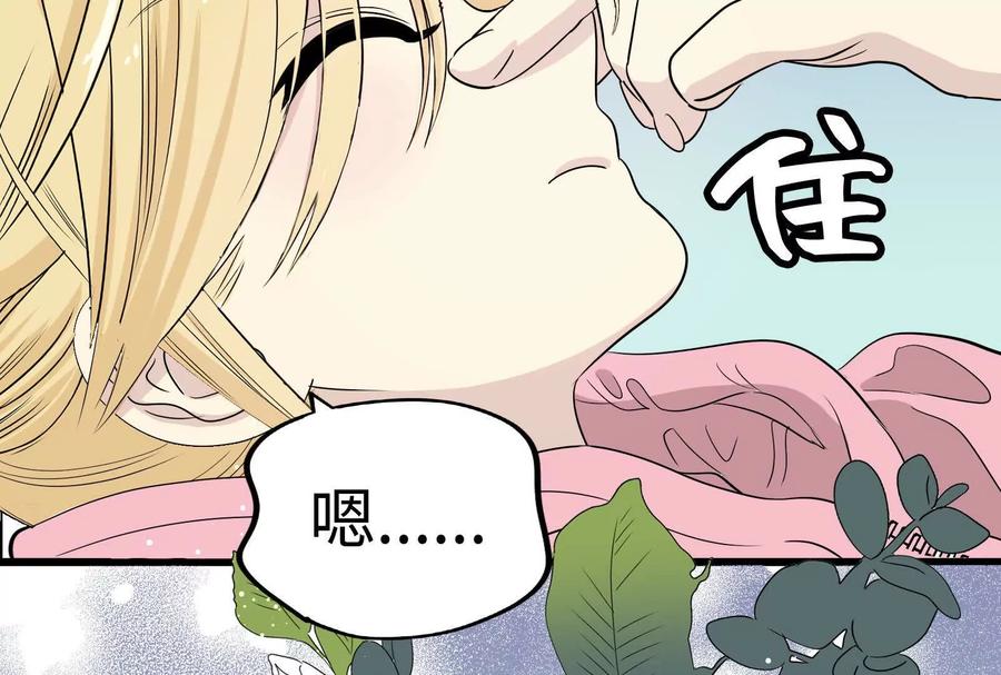 第206页