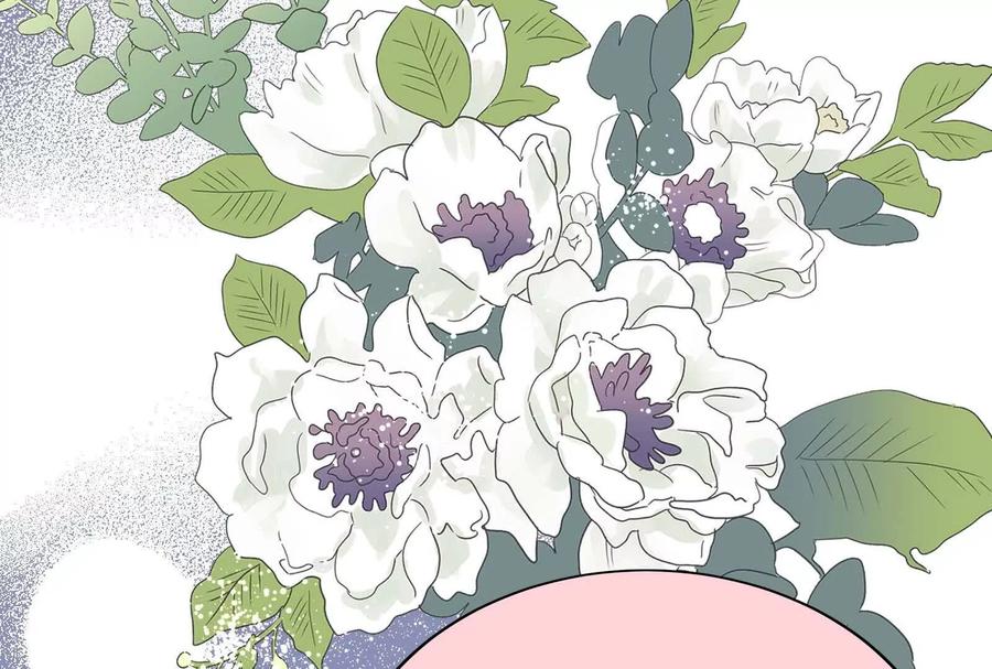 第255页