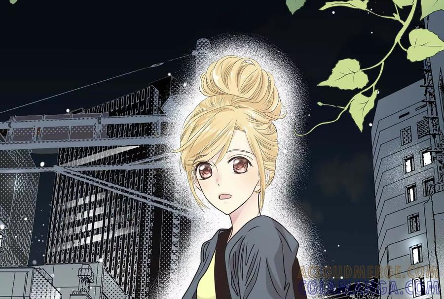 第229页