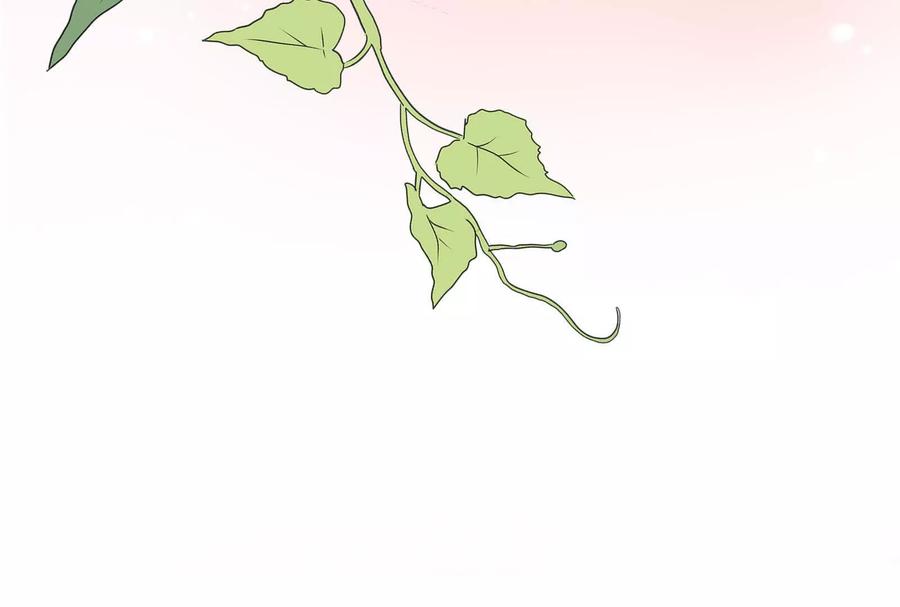 第260页