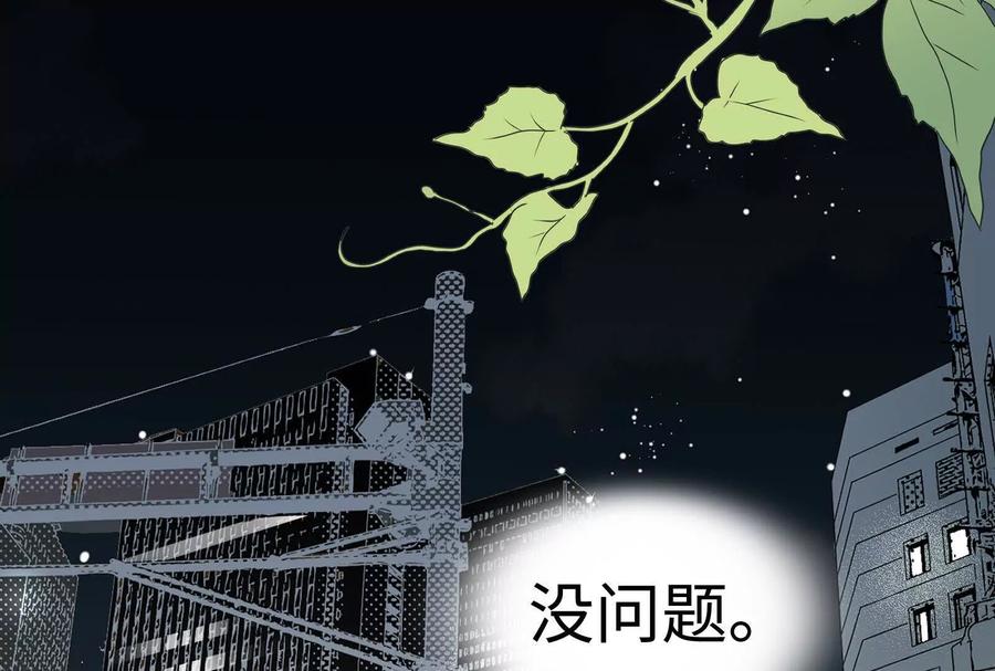 第243页
