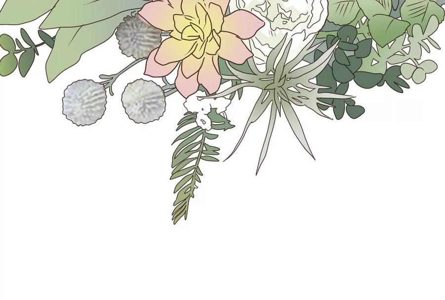 第244页