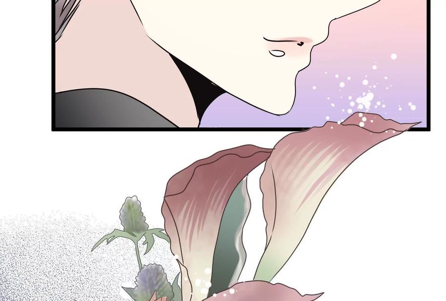 第260页