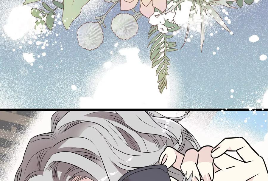第264页