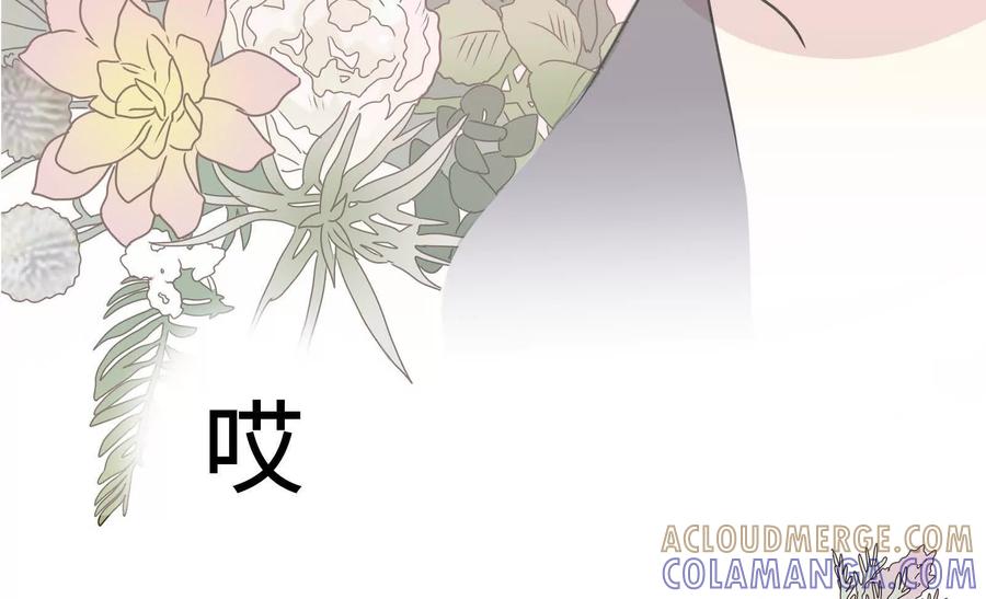 第253页