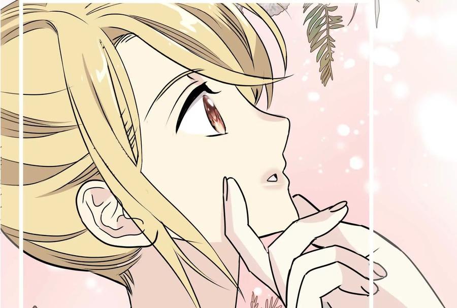 第255页