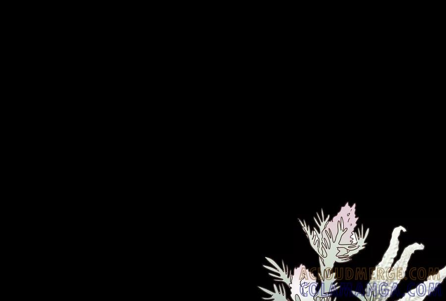 第221页