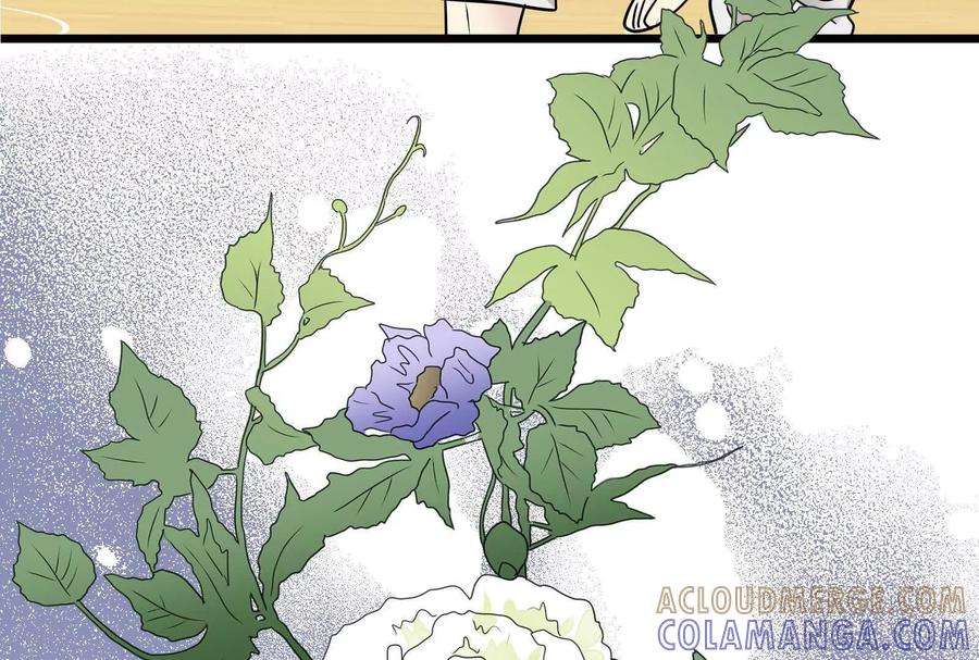 第221页