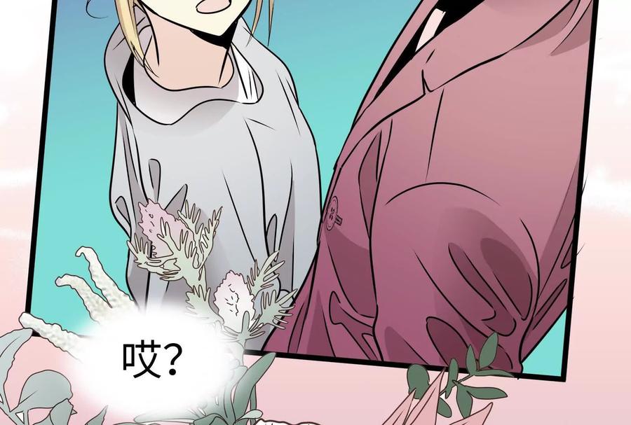第271页
