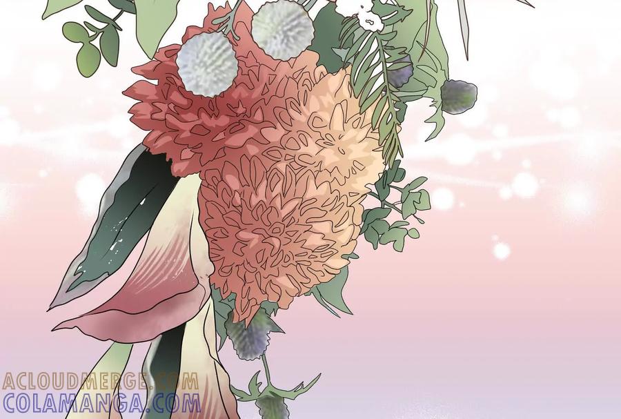 第237页