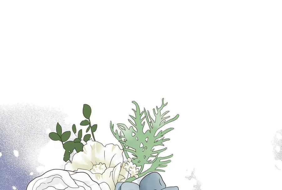 第244页