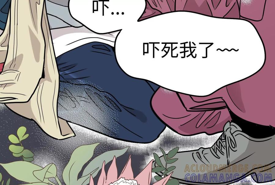 第261页