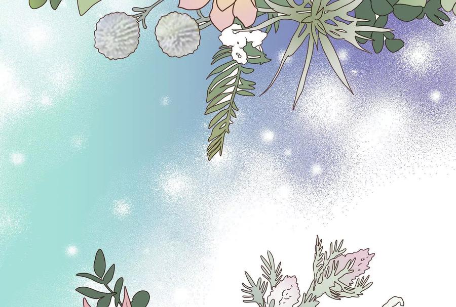 第267页