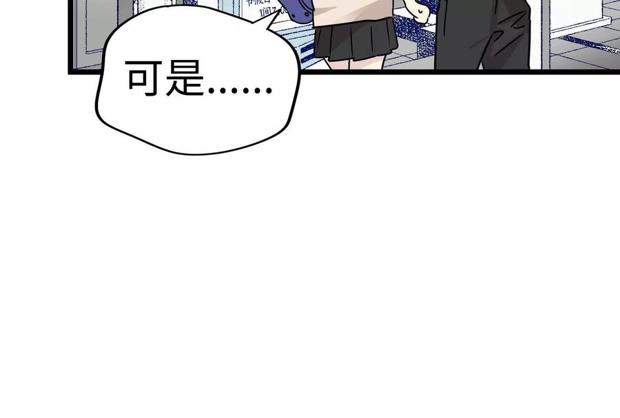 第204页