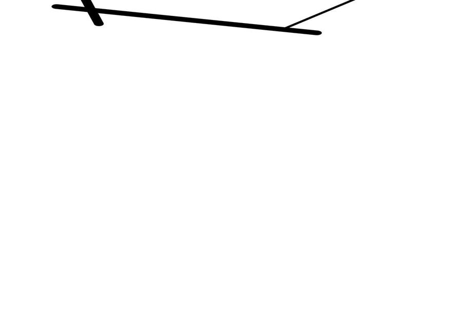 第223页
