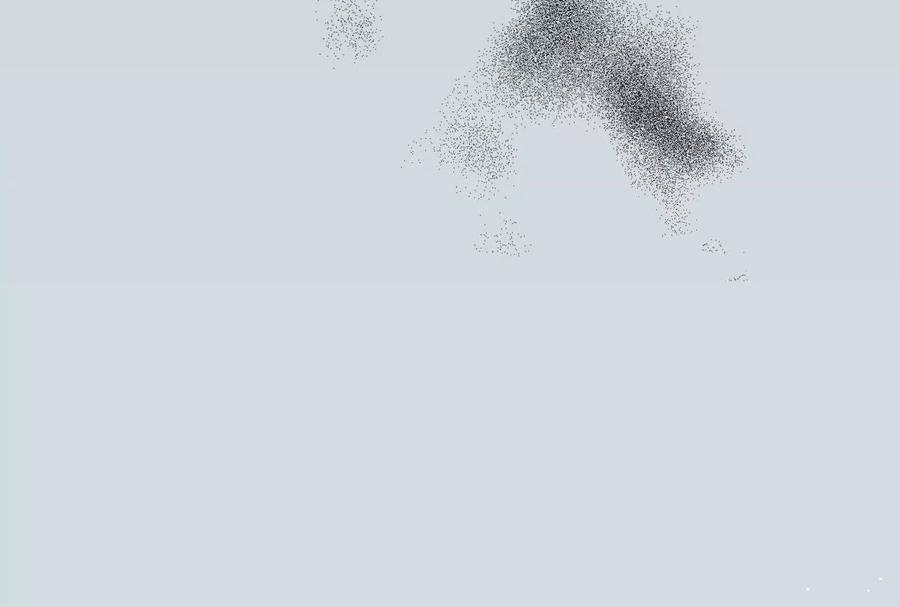 第204页