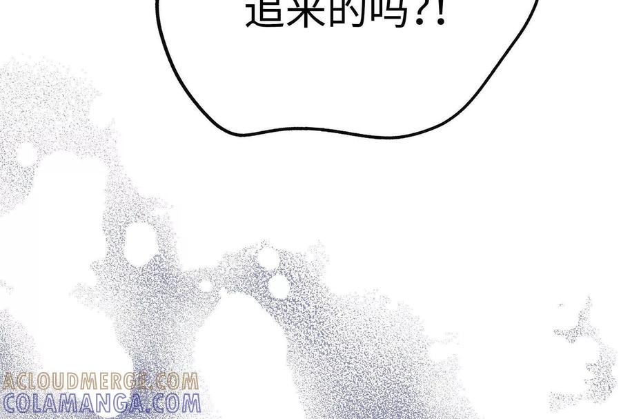 第241页