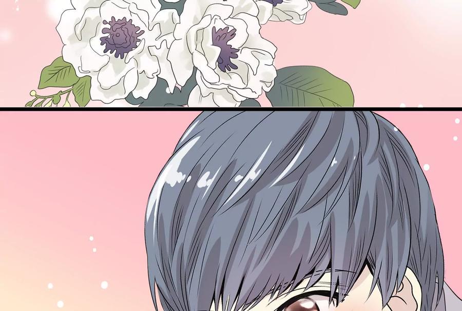 第215页